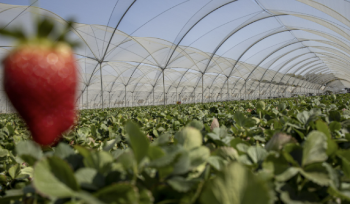 Private Equity Shifts from Cost-Cutting to Value Creation 